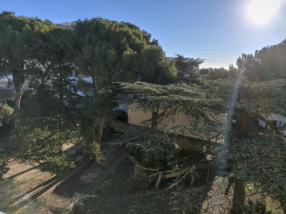 Apartment Beau Duplex Vue - Terrasse - Garage - Wifi