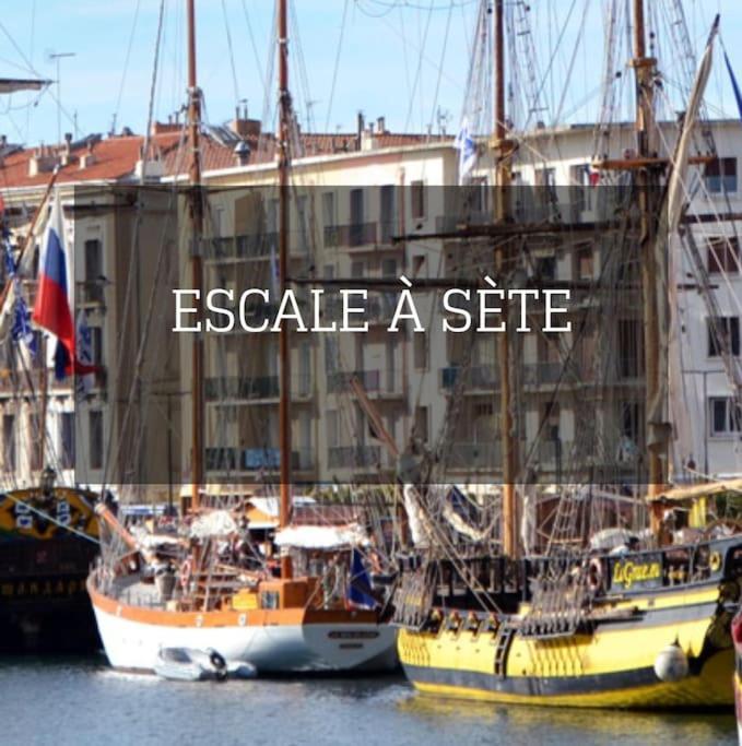 Beau Duplex Vue - Terrasse - Garage - Wifi Apartment *